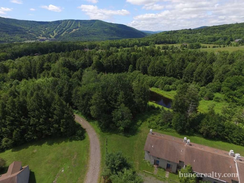 Bright and Airy Windham Ridge Townhome 76 Loo Bridge Lane, Windham NY